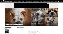 Desktop Screenshot of bulliepost.com